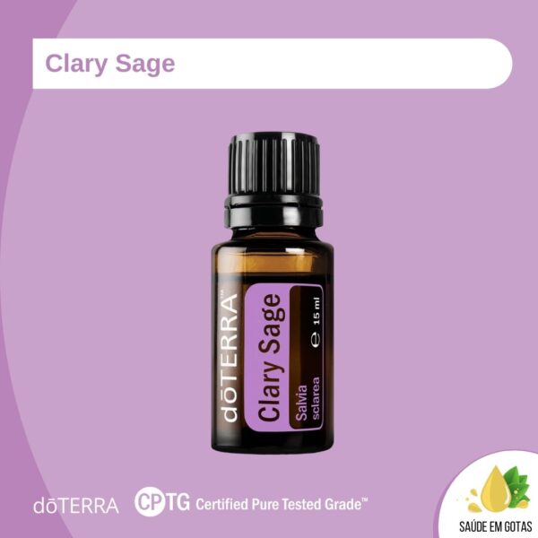 Clary Sage, Salvia